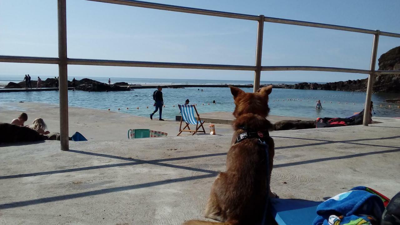 فيلا Atlantica بود المظهر الخارجي الصورة